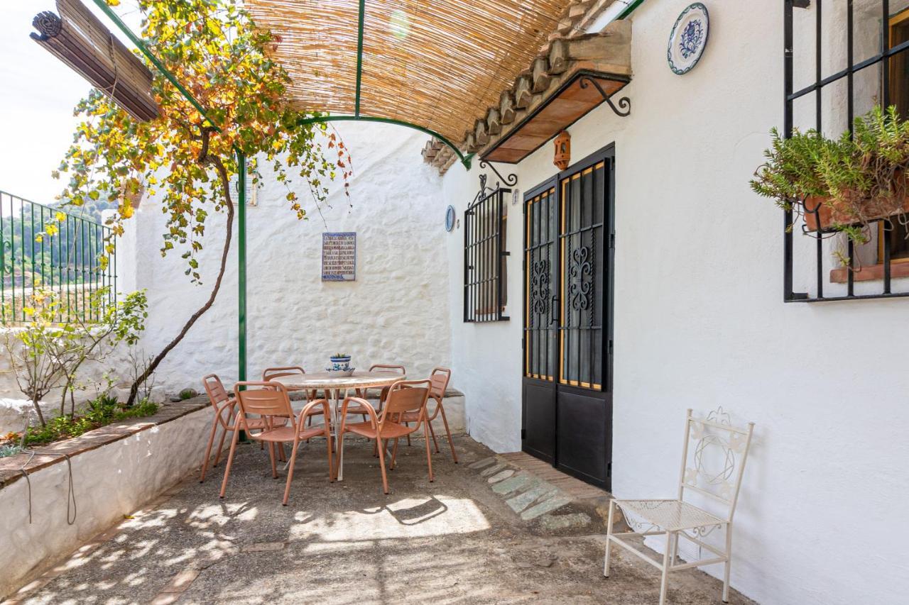 Cuevas El Abanico - Vtar Vivienda Turistica De Alojamiento Rural Γρανάδα Εξωτερικό φωτογραφία